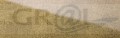sg_leguan_gold.jpg