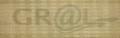 sg_leguan_gold_3.jpg