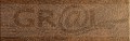 ll_leguan_copper_1.jpg