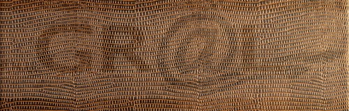 ll_leguan_copper_1.jpg