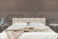ll-dove-tale_aw1-photo-istock-com.jpg