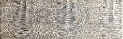 ll_leguan_silver_1.jpg