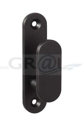 Z408_1 el pion kopia.jpg