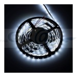 Taśma PREMIUM 60 LED/m, 5 mm, 5 mb, IP20, 11W/m, 12V DC biała zimna