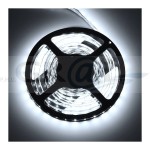 Taśma PREMIUM 60 LED/m typ 5630, 10 mm, 5 mb, IP20, 14W/m, 12V DC biała zimna