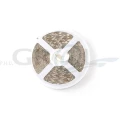 Taśma RGBW 60 LED/m, 12 mm, 5 mb, IP20, 14W/m, 12V DC RGB + biały neutralny R-LDL3-12MM-300-RGBW- 01, zdjęcie 2