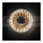 Taśma FUTURE 64 LED/m, 8 mm, 5 mb, IP20, 5,8W/m, 12V DC biała neutralna