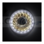 Taśma FUTURE 64 LED/m, 8 mm, 5 mb, IP20, 5,8W/m, 12V DC biała zimna