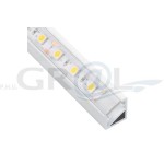 Profil aluminiowy TRILINE MINI, Biały, 2m, Klosz transparentny