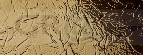 SL-CREPA-Gold_D-1920x740.jpg