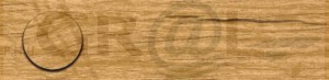Zaślepka DĄB LANCELOT do obrzeża ZW 3023 VT